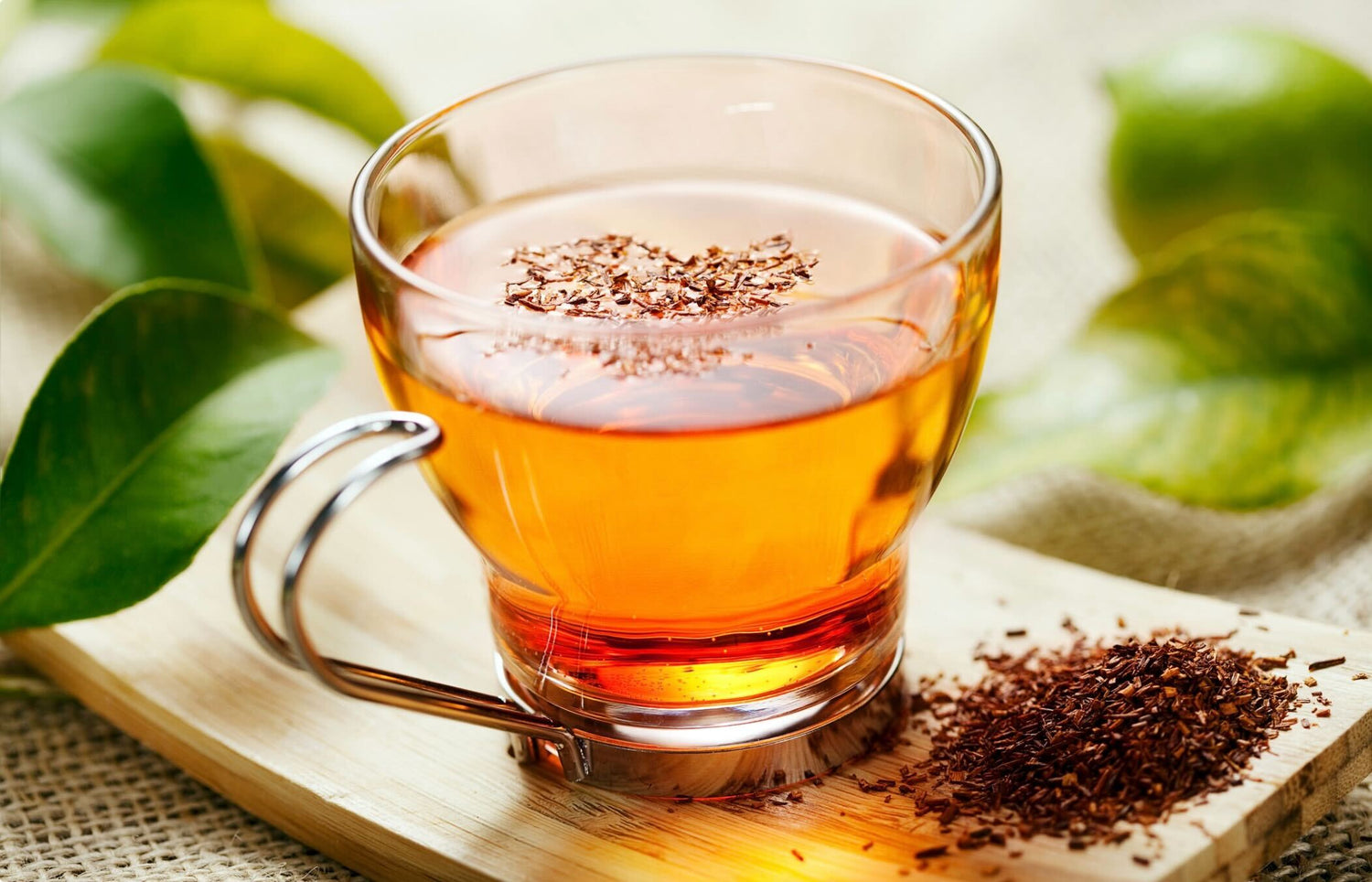 Why Herbal Tea is the Perfect Wellness Ritual for Every Season